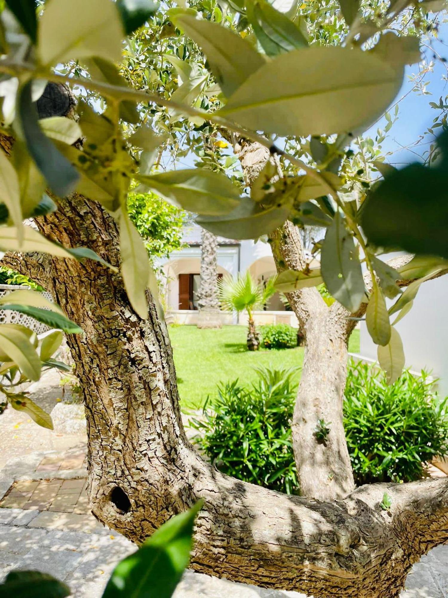 Villa Trulli Ada Noci Esterno foto